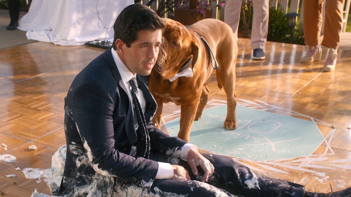 Turner & Hooch Turner & Hooch