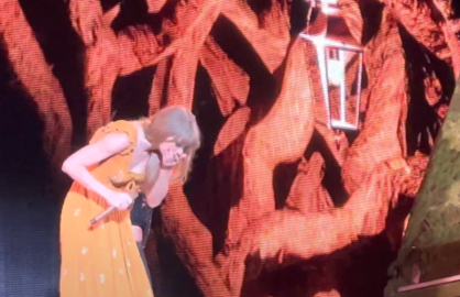 Taylor Swift Accidentally Swallowed a Bug in the Middle of her Concert