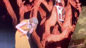 Taylor Swift Accidentally Swallowed a Bug in the Middle of her Concert
