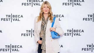 Jeffrey Epstein TV Series in the Works at Sony, Laura Dern to Play Julie K. Brown in Investigative Drama