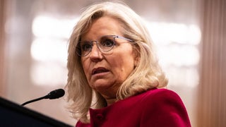 Liz Cheney Lambastes the State of American Politics: ‘We’re Electing Idiots’ (Video)