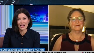 Alex Wagner Says Affirmative Action Vote Seems Like ‘Hangover’ of Civil Rights Era (Video)