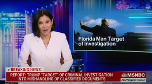 msnbc-alex-wagner-trump-florida-man