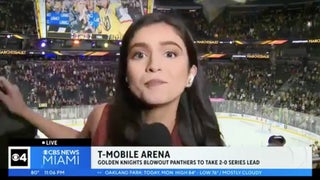 Watch Stanley Cup Finals TV Reporter Stiff-Arm Check an Unruly Las Vegas Fan Live on Air: ‘Nope! Nope!’ (Video)