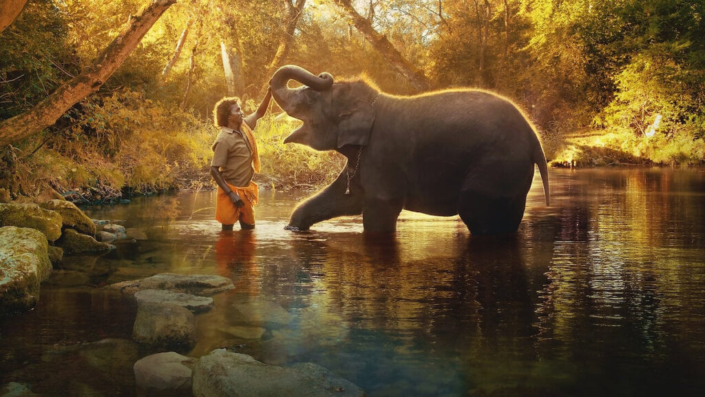 the-elephant-whisperers