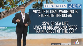 Florida Meteorologist Sounds Climate Change Alarm on Air: ‘Concerned We Have Reached a Point We Cannot Return From’ (Video)