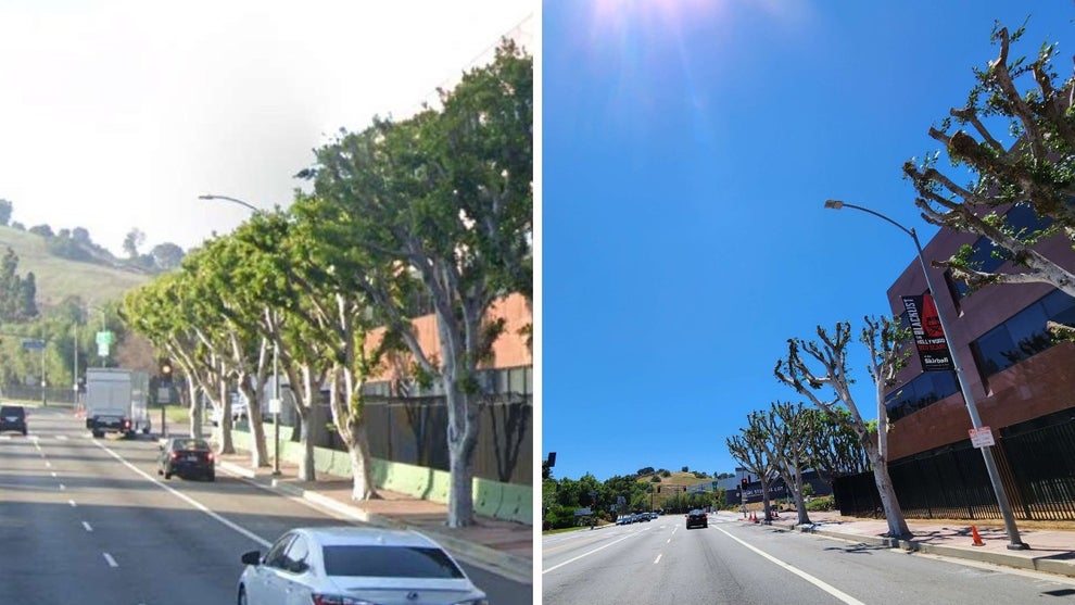 Universal Studios Trees Trimmed Writers and Actors Strike