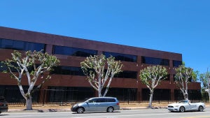 Trimmed trees at NBCUniversal