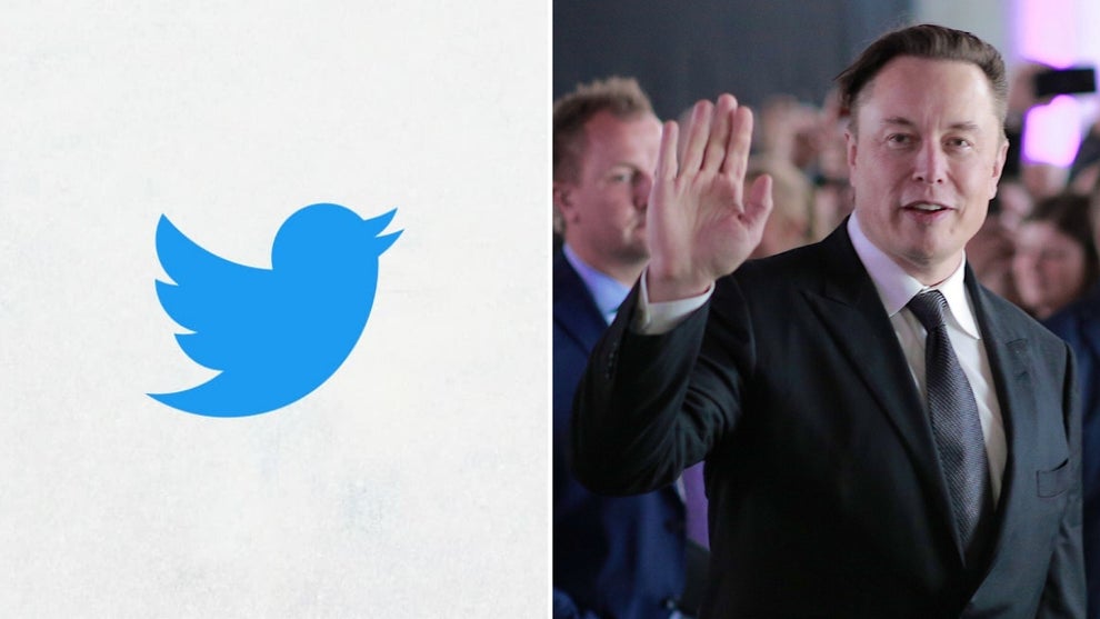 Twitter logo and its owner, Elon Musk