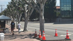 universal trees pruned strike