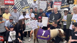 Hollywood Strikes Draw More Famous Faces to the Picket Lines (Photos)