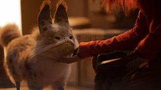 No, That Scene-Stealing Cat in ‘Ahsoka’ Was Not All CGI