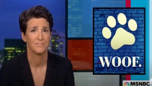 rachel-maddow-msnbc