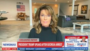sarah palin newsmax