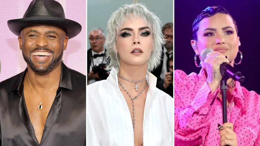 Wayne Brady, Cara Delevingne and Demi Lovato identify as pansexual