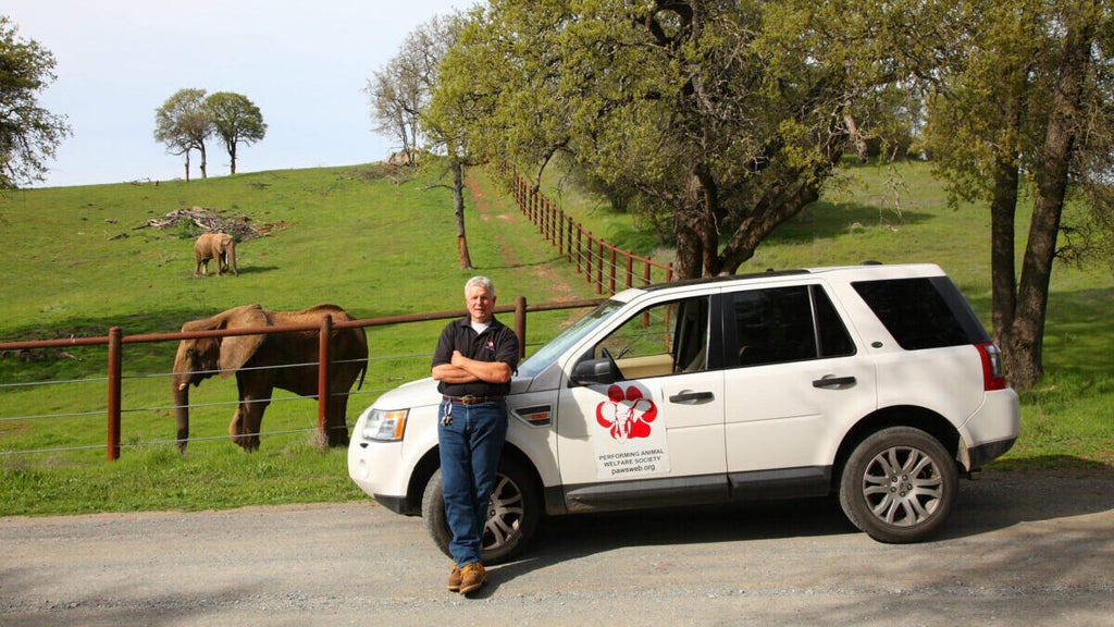 Ed Stewart, co-founder and president of PAWS with elephants Mara and Thika