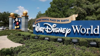 Wild Bear Loose at Walt Disney World Causes Multiple Magic Kingdom Attractions to Close