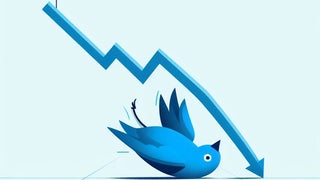 Exclusive Data: Twitter Is Shrinking Under Elon Musk