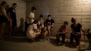 Israel Halts Production and Closes Cinemas as Filmmakers Join Relief Efforts
