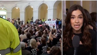 MSNBC Reporter Muffled by Protesters Calling for Gaza Cease-Fire on Capitol Hill (Video)