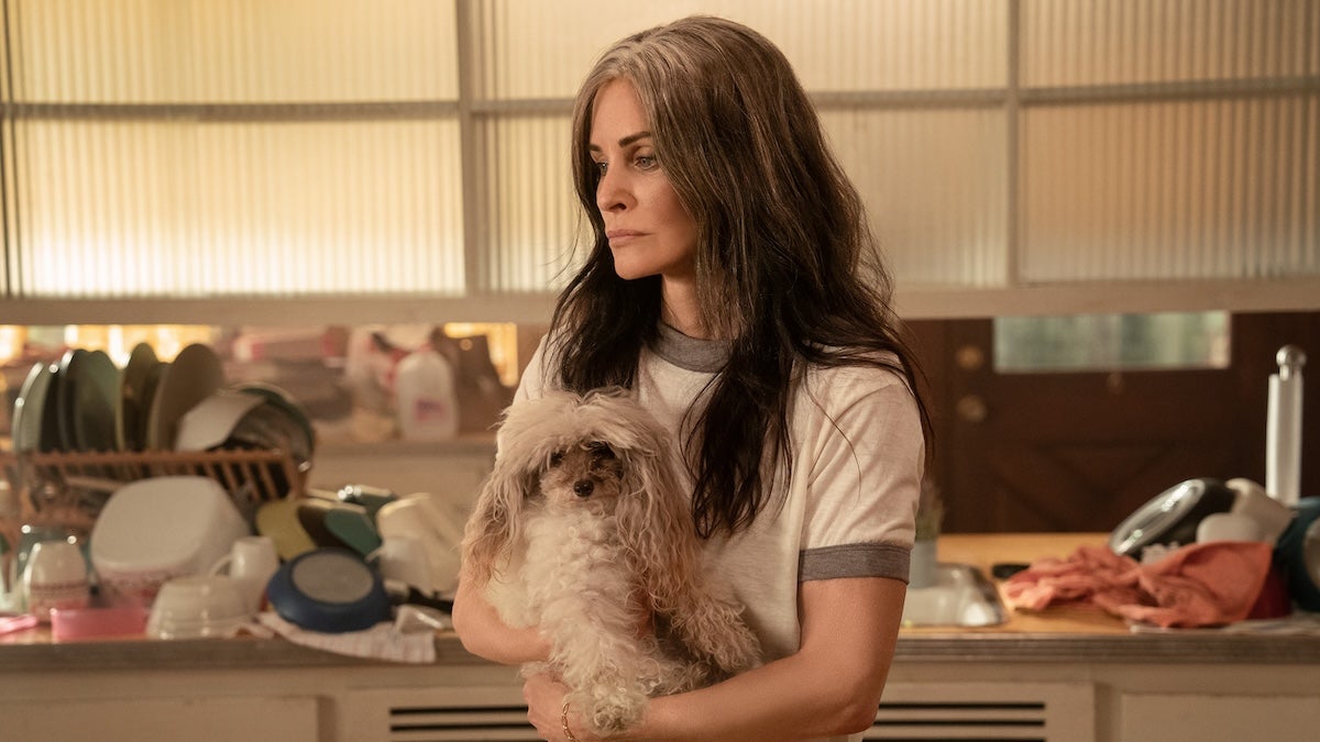 'Shining Vale' Canceled After 2 Seasons at Starz - Vimarsana News