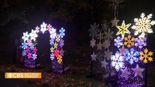 ‘Fight Club’ Author Chuck Palahniuk Reveals His Forest Christmas Decor and Operating Room Origins | Video