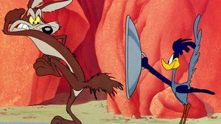 Warner Bros. Shelves ‘Coyote vs. Acme’ Despite Completion, Directors Cry Foul