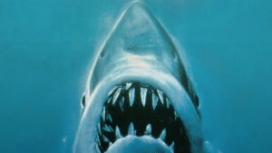 Jaws