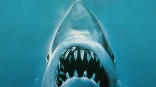 ‘Jaws,’ ‘The Empire Strikes Back’ Poster Artist Robert Kastel Dies at 92