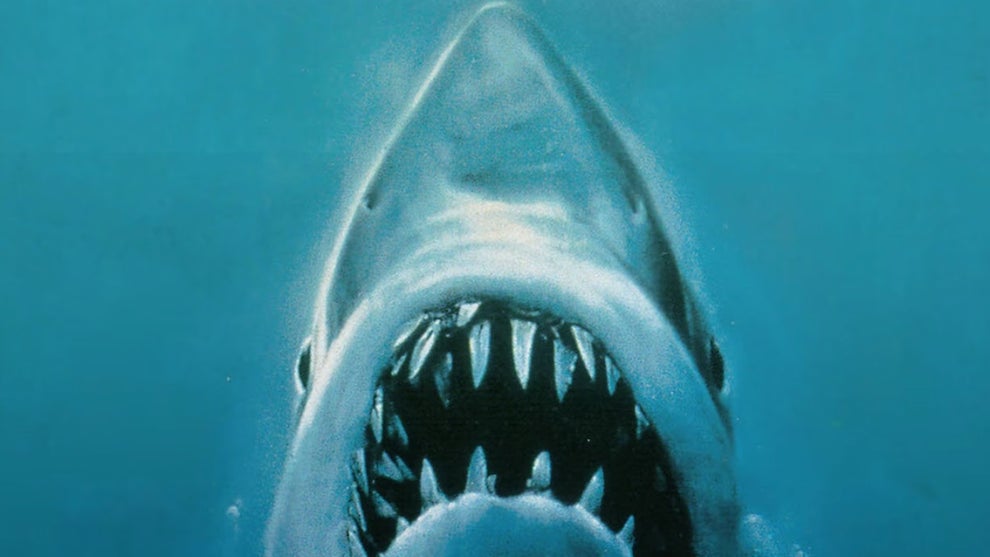 Jaws