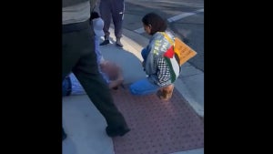 Paul Kessler Dies After Confrontation With Pro-Palestine Demonstrators