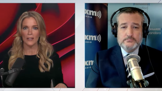 Ted Cruz Pounces on Barack Obama’s Use of Word ‘Occupation’ in Gaza Reference: ‘Antisemitic Lie!’ (Video)