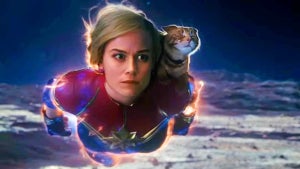 The Marvels