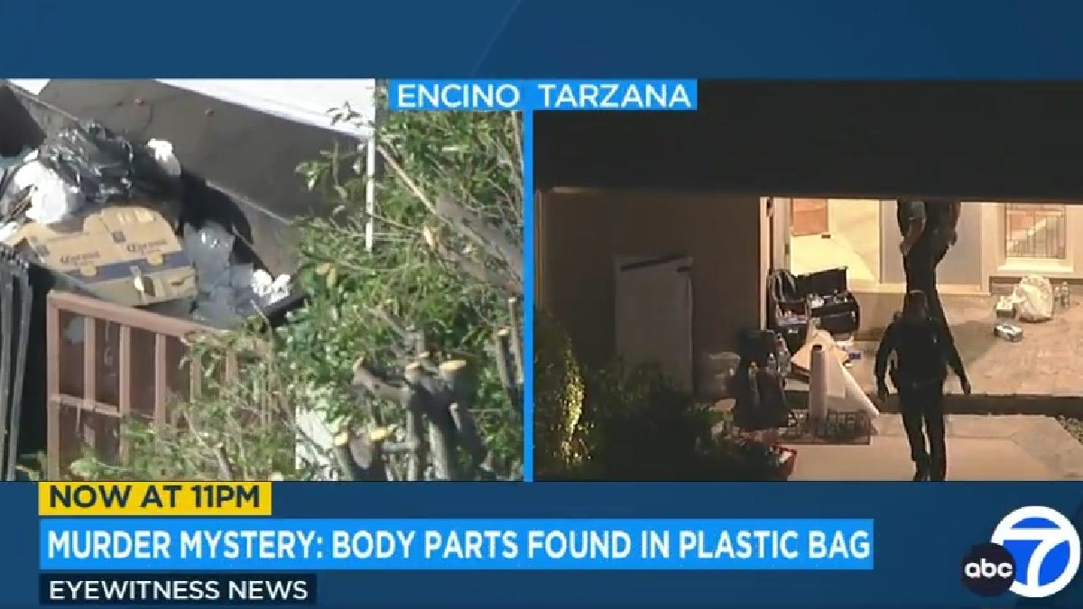 TV Producer’s Son Arrested After Woman’s Dismembered Torso Found in Encino Dumpster thumbnail
