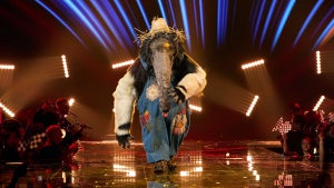 the-masked-singer-anteater