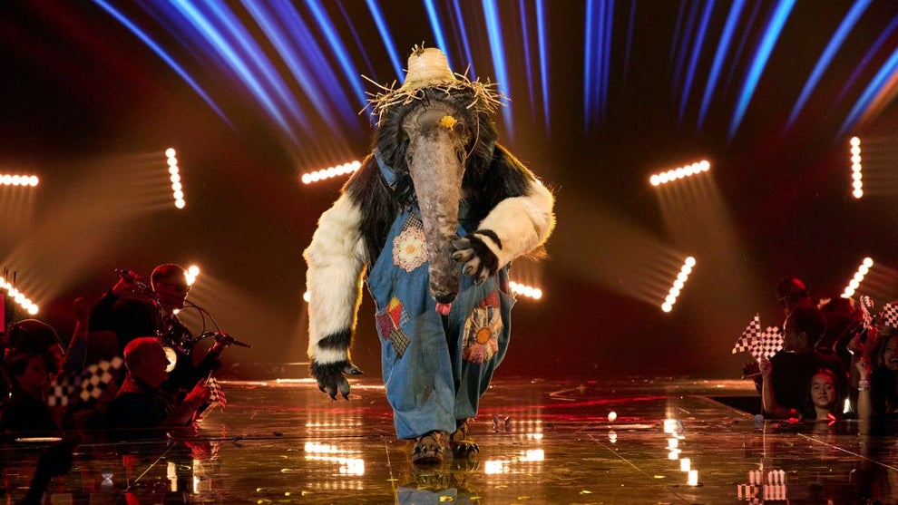 the-masked-singer-anteater
