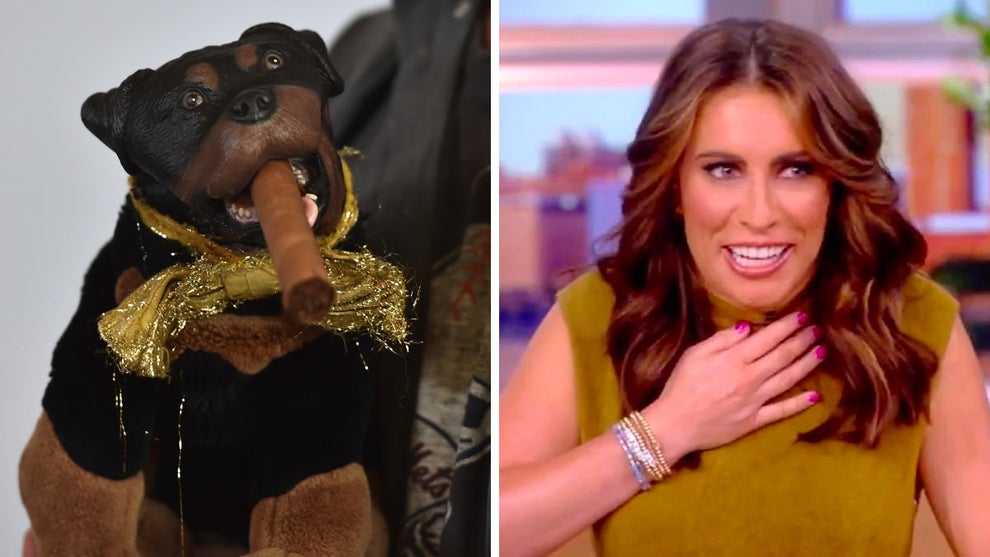 the-view-triumph-insult-dog-alyssa