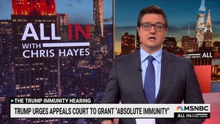 Chris Hayes Warns Trump’s Immunity Claim Is ‘a Vision of American Dictatorship’ | Video