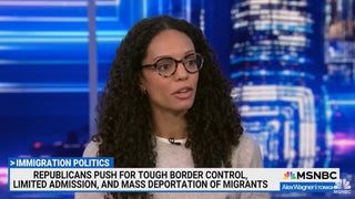 Immigration Journalist Tells MSNBC That Democrats Are ‘Too Scared to Put Forth Any Ideas’ on Border Security | Video