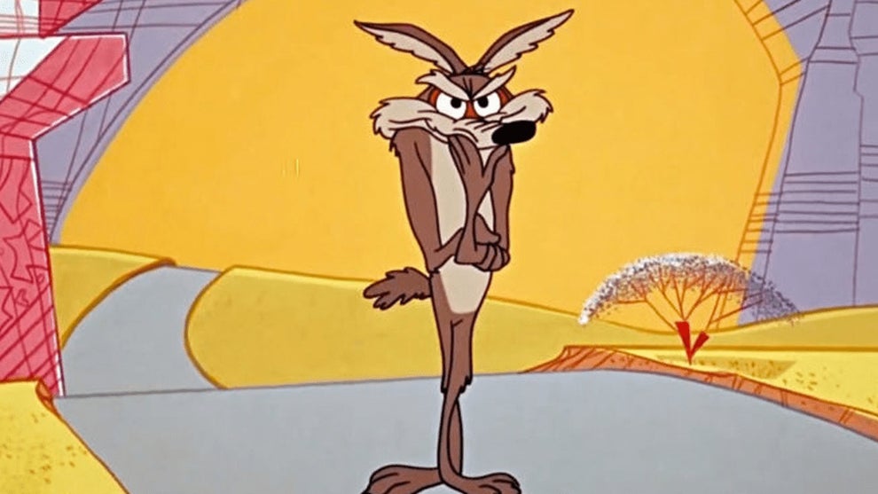 coyote vs acme wile e coyote