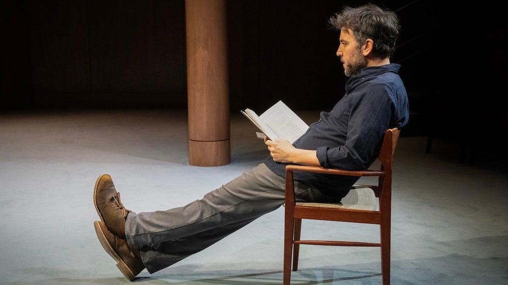 Josh Radnor in the world premiere production of "The Ally"