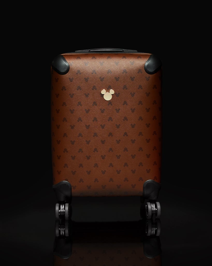 Mickey luggage