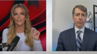 Megyn Kelly Mocks Joy Reid’s ‘Absurd’ Argument That Republicans Vote on Race, Not Economics: ‘Such a Comical Figure’ | Video