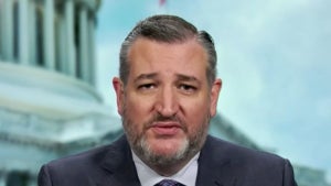 Ted Cruz on "The Faulkner Focus" (Getty Images)