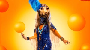 masked-singer-afghan-hound
