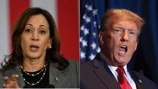 Kamala Harris Says Trump Is No Longer Dog Whistling Dictator Aspirations: ‘It Is a Gigantic Bark’ | Video