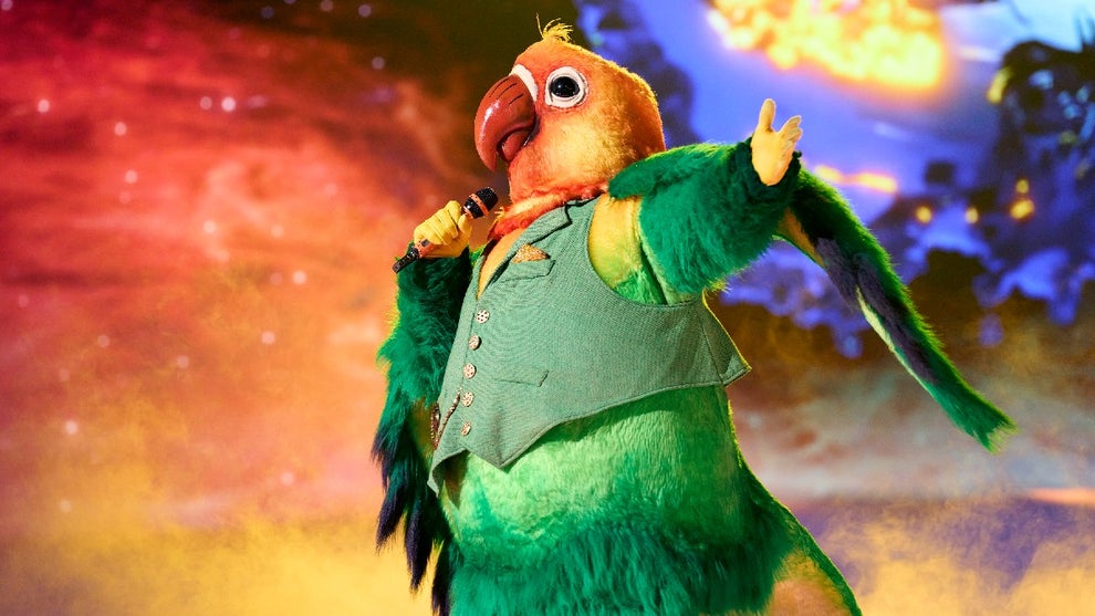 masked-singer-lovebird