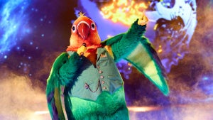 the-masked-singer-lovebird