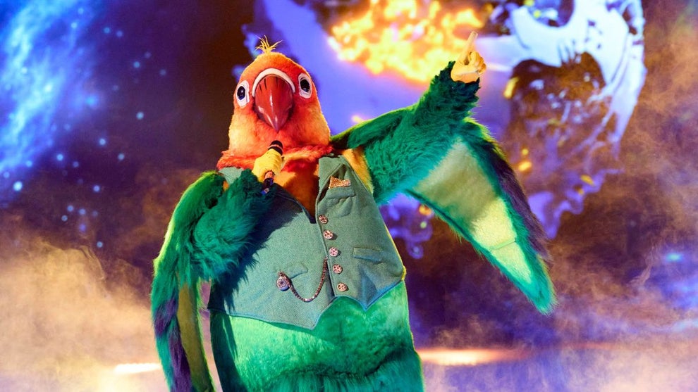 the-masked-singer-lovebird