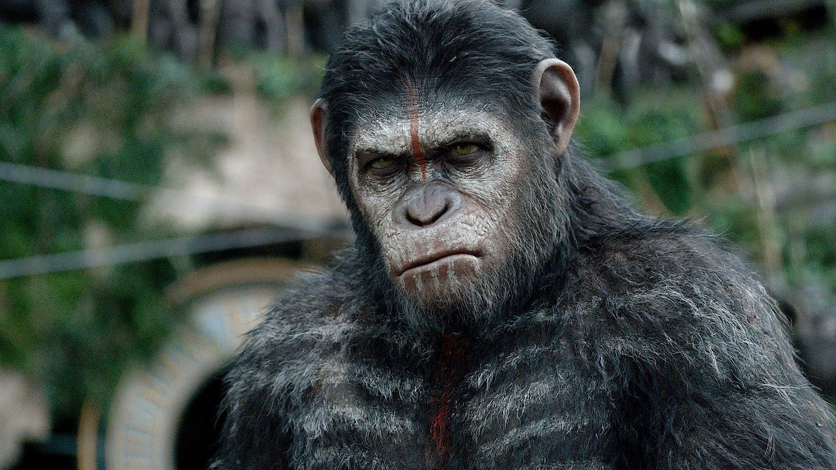 How to Watch the Planet of the Apes Movies in Order